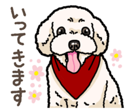 Daily poodle 2 sticker #14485693
