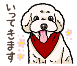 Daily poodle 2 sticker #14485693