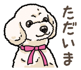 Daily poodle 2 sticker #14485694