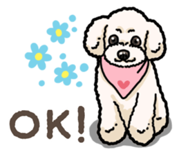 Daily poodle 2 sticker #14485695