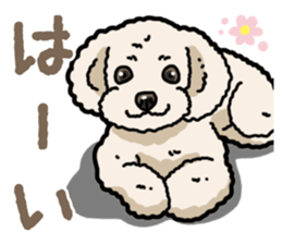 Daily poodle 2 sticker #14485696