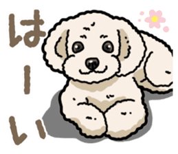 Daily poodle 2 sticker #14485696