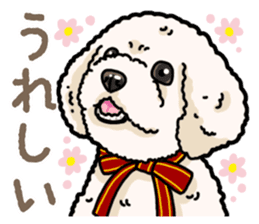 Daily poodle 2 sticker #14485697