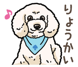 Daily poodle 2 sticker #14485698