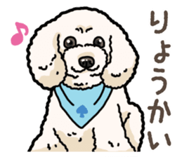 Daily poodle 2 sticker #14485698