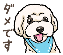 Daily poodle 2 sticker #14485699