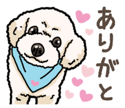Daily poodle 2 sticker #14485701