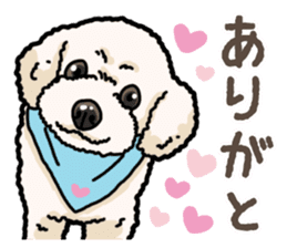 Daily poodle 2 sticker #14485701