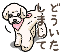 Daily poodle 2 sticker #14485702