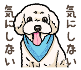 Daily poodle 2 sticker #14485703