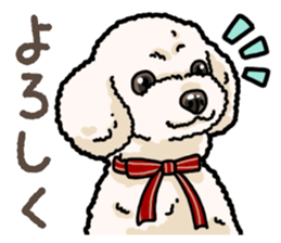 Daily poodle 2 sticker #14485704