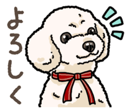 Daily poodle 2 sticker #14485704