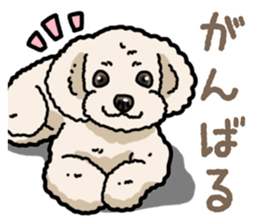 Daily poodle 2 sticker #14485706