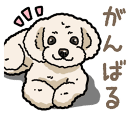 Daily poodle 2 sticker #14485706