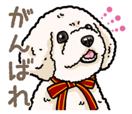 Daily poodle 2 sticker #14485707