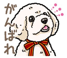 Daily poodle 2 sticker #14485707