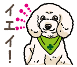 Daily poodle 2 sticker #14485708