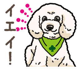 Daily poodle 2 sticker #14485708