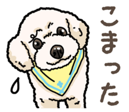 Daily poodle 2 sticker #14485711