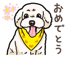 Daily poodle 2 sticker #14485713