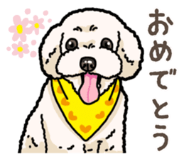 Daily poodle 2 sticker #14485713