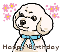 Daily poodle 2 sticker #14485714