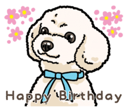 Daily poodle 2 sticker #14485714