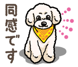 Daily poodle 2 sticker #14485715