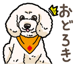 Daily poodle 2 sticker #14485718