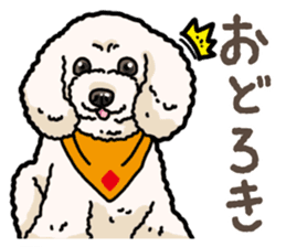 Daily poodle 2 sticker #14485718