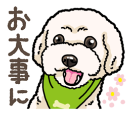Daily poodle 2 sticker #14485719