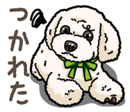 Daily poodle 2 sticker #14485720