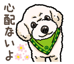 Daily poodle 2 sticker #14485721