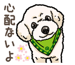 Daily poodle 2 sticker #14485721