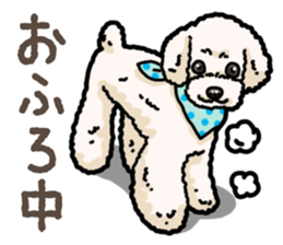 Daily poodle 2 sticker #14485722