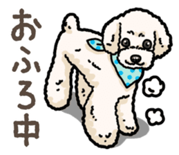 Daily poodle 2 sticker #14485722
