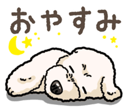 Daily poodle 2 sticker #14485724