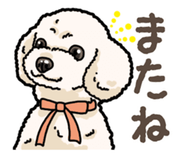 Daily poodle 2 sticker #14485725