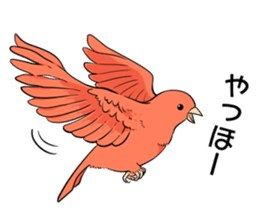 Bird's Stickers sticker #14486137