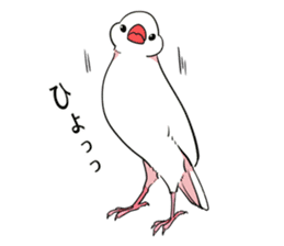 Bird's Stickers sticker #14486163