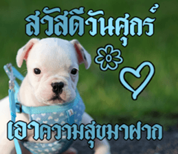 Hello Monday French bulldog sticker #14486258