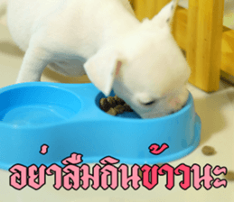 Hello Monday French bulldog sticker #14486265