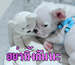 Hello Monday French bulldog sticker #14486266