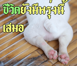 Hello Monday French bulldog sticker #14486267