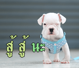 Hello Monday French bulldog sticker #14486268