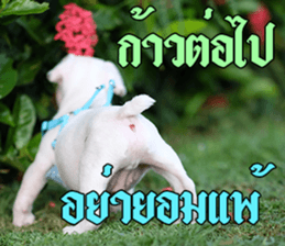 Hello Monday French bulldog sticker #14486270