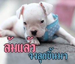 Hello Monday French bulldog sticker #14486271