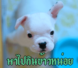 Hello Monday French bulldog sticker #14486272