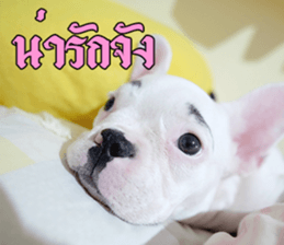 Hello Monday French bulldog sticker #14486278