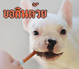 Hello Monday French bulldog sticker #14486279